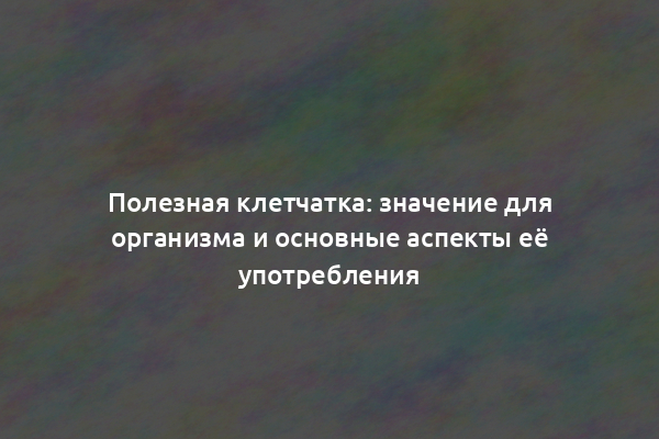 Полезная клетчатка: значение для организма и основные аспекты её употребления