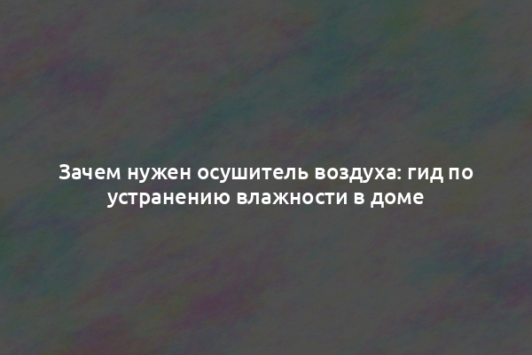 Зачем нужен осушитель воздуха: гид по устранению влажности в доме