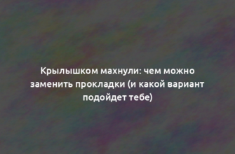 Крылышком махнули: чем можно заменить прокладки (и какой вариант подойдет тебе)