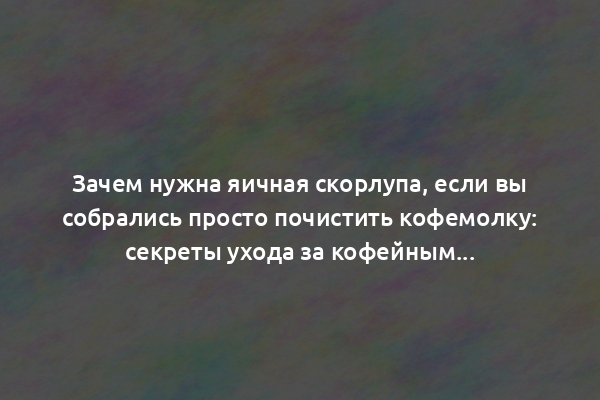 Зачем нужна яичная скорлупа, если вы собрались просто почистить кофемолку: секреты ухода за кофейным аксессуаром