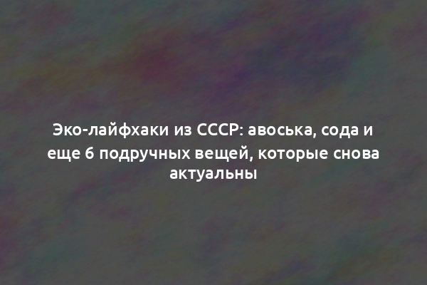 Эко-лайфхаки из СССР: авоська, сода и еще 6 подручных вещей, которые снова актуальны