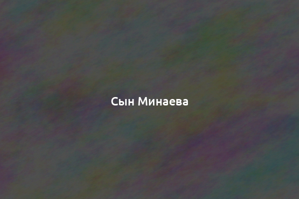 Сын Минаева