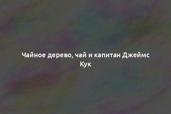 Чайное дерево, чай и капитан Джеймс Кук