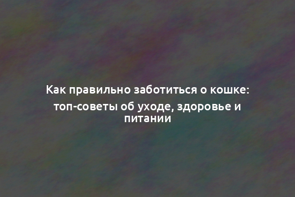 Как правильно заботиться о кошке: топ-советы об уходе, здоровье и питании