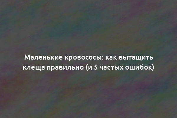 Маленькие кровососы: как вытащить клеща правильно (и 5 частых ошибок)