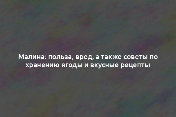 Малина: польза, вред, а также советы по хранению ягоды и вкусные рецепты