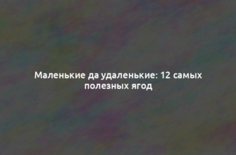 Маленькие да удаленькие: 12 самых полезных ягод