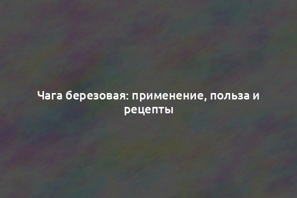 Чага березовая: применение, польза и рецепты