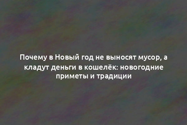 Почему в Новый год не выносят мусор, а кладут деньги в кошелёк: новогодние приметы и традиции